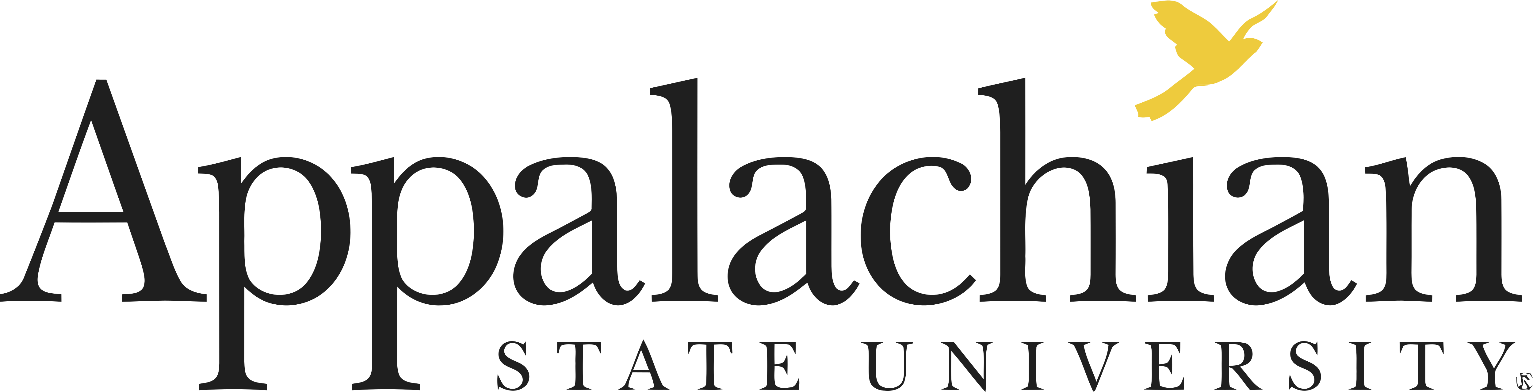 Appalachian State University